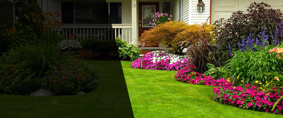 Lovington Landscapers