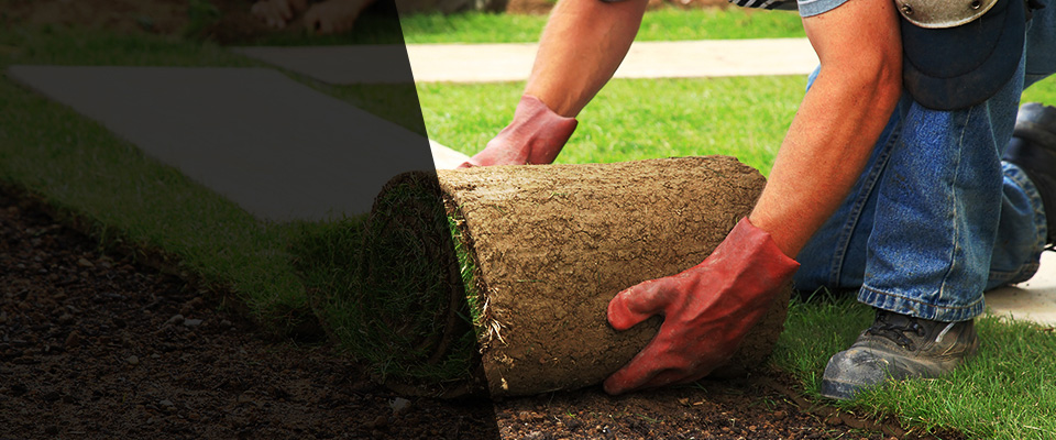 Lovington Landscapers